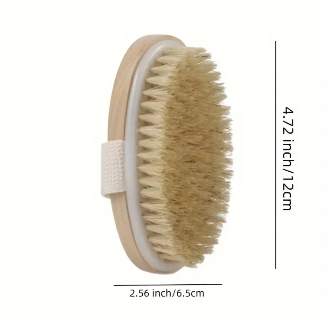 natural bristle dry body brush with dimensions 12cm length and 6.5cm width